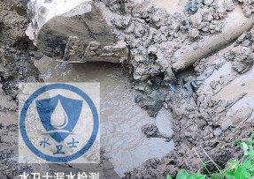 金山区水管漏水检测公司5
